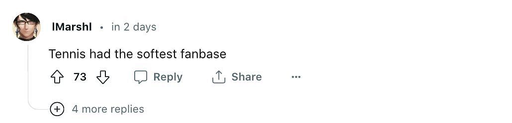 Screengrab of the fan comment on Reddit